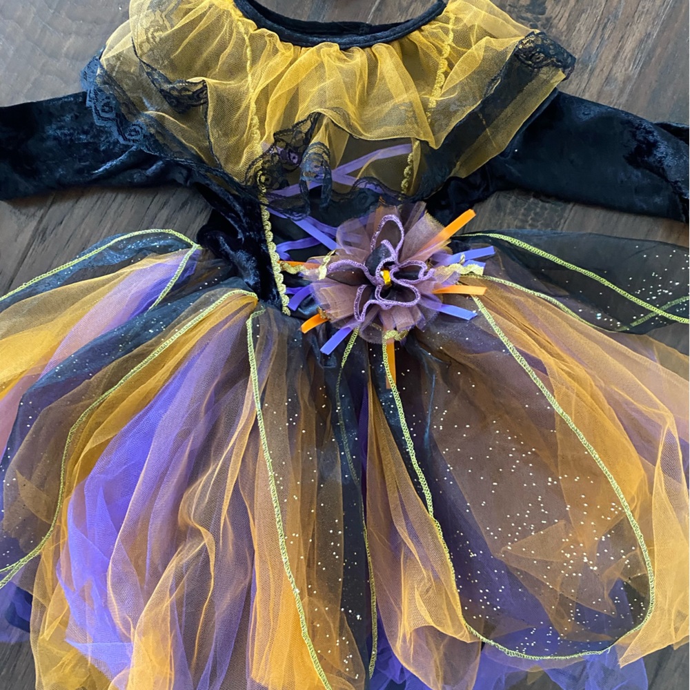 Toddler size 4 Halloween Costume
